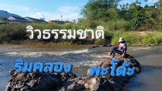 #วิวธรรมชาติ #ริมคลอง #พะโต๊ะ #ชุมพร #nature #river #phato #chumphon #thailand