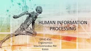 Human Information Processing
