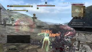 【DDON】ファイターで橋の上のモゴック