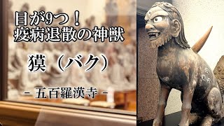 疫病退散の神獣 『 獏（バク）』- 目黒　五百羅漢寺 ご住職 無垢品さん -