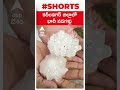 కరీంనగర్ జిల్లాలో భారీ సైజు వడగళ్లు karimnagar vadagallu hailstones abpdesam