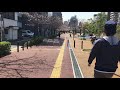 4k 東京　桜 並木　散歩 walk in japan cherry blossom street in tokyo japan 2020