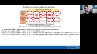 A. Fuso - Molecular characterization of exopolysaccharides from wild lactic acid bacteria strains