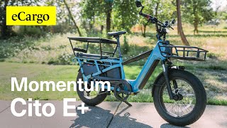 Is this the best cargo bike? Momentum Cito E Plus #ebike #cargobike