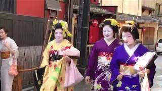 祇園花見小路 芸舞妓さんが一力亭で大石忌 2019 Gion