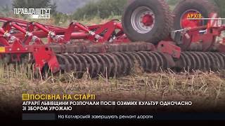 Посівна на старті. ПравдаТУТ Львів