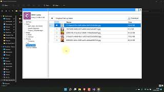 Dropbox manager using Winform C# - Dropbox API