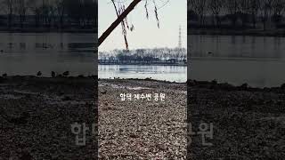 합덕제수변공원의 아름다운 풍경