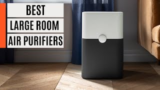 Best Large Room Air Purifiers 2023
