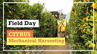 Field Day - Citrus Mechanical Harvesting