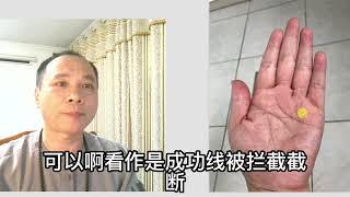 这是何其杂乱的一个掌纹，干扰纹杂多，感情线的分支还延伸到了智慧线，又是一个会被情绪上头冲昏头脑的孩子