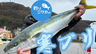 極寒の日本海で寒ブリジギング！【名立港 海遊丸】