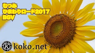 むつみ ひまわりロード2017