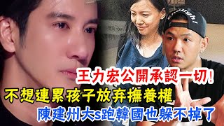 Wang Leehom gave up child custody and indirectly admitted the fact of adultery with Chen Jianzhou