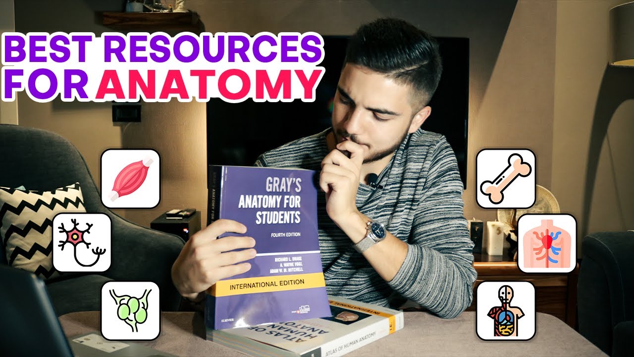 Best Resources To Study Anatomy In Medical School - YouTube