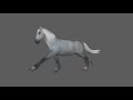 Horse Game Animation Updated