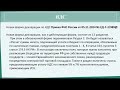 Отчетность с 2025 года обзор