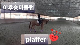 piaffer | dressage | halfpass | 마장마술 기승일기 | 직장인취미 승마 브이로그 | 구보 | 좌속보 | 피아페 | 하프패스