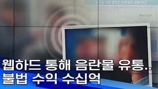 웹하드 통해 음란물 유통   불법 수익 수십억 부산MBC20190612