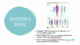 Genetic Variation: Lesson 6 - Mutations