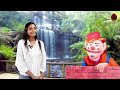 හොඳ වැඩක් කළොත් katha pituwa 79 kids storytime sinhala storytime lama katha kidstv