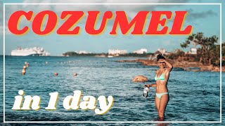 What to do on Cozumel in 1 day