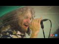 the flaming lips tiny desk home concert