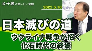 ウクライナ戦争が招く化石時代の終焉～50年周期の大転換【金子勝の言いたい放題】202205218