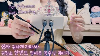 ASMR(Eng sub)Rich Princess Ear Cleaning RP(Both Wooden ear pick, etc)|진짜 귀하게 자라서 귀청소가 뭔지 모르는 공주님 귀파기