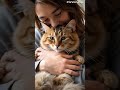 hug your love cat and girl 😍😍cat catvideos viwes