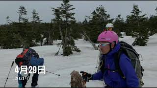 南八甲田乗鞍岳バックカントリーSKIツアー