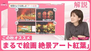 【紅葉の「最新」予想】行楽日和の3連休…季節外れの“桜”なぜ？  この秋オススメ「アート紅葉」ランキング【#みんなのギモン】