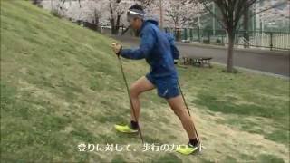 トレラン選手・小川壮太さんによるトレランポールの使い方3　ポールを使う坂の登り方