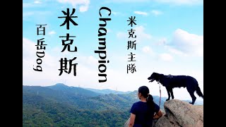 百岳DOG 第三集：內湖金面山