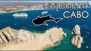 【Bund2Boro EP29】墨西哥系列【3】墨西哥西海岸必玩 — 快乐星球Cabo和La Paz，度假天堂、鲸鲨游泳体验 4-Day Vacation in Cabo and La Paz