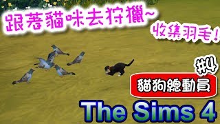 《魚醬》—The Sims 4模擬市民4— 跟著貓咪去狩獵吧！(☄◣ω◢)☄ feat.貓君 | 貓狗總動員#4