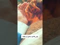 اینو اونایی که میگرن دارن درک میکنن... درد سر سردرد مسکن میم