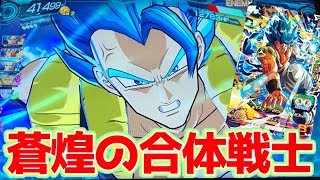 【超使いやすい】ゴジータ:BM(SSGSS•進化)を使ってみた！【スーパードラゴンボールヒーローズ】