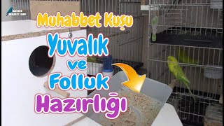 Muhabbet Kuşu YUVALIK ve FOLLUK NASIL HAZIRLANIR | Kafese Nasıl Takılır ?