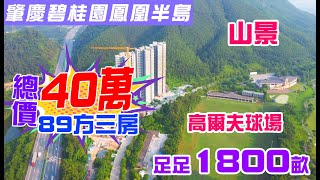 #肇慶爆炸無敵景觀  超平總價40萬購入88方單位，南望高爾夫球場，北望山景！