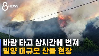 밀양 산불, 바람 타고 삽시간에 번졌다…470여 명 대피 / SBS