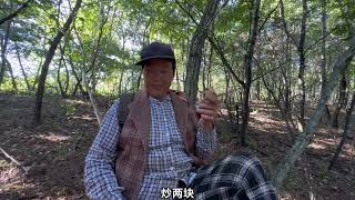 听说黑龙江和辽宁的蘑菇下来了，在吉林的俺们娘俩也上山看看！