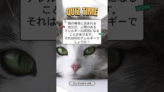 猫アレルギーと同じなのは？#猫のいる暮らし #cat #猫 #shorts #雑学