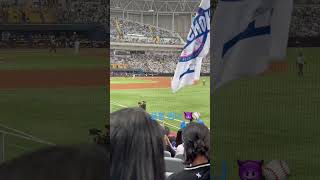 최강야구vs성균관대 1루 꿀이소리석 101열 view😎⚾️