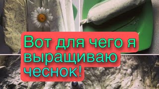 Вкуснейшее масло из чесночных стрелок