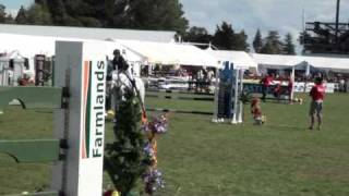 Seremonie VDL in the first round of the Horse of the Year class 2011