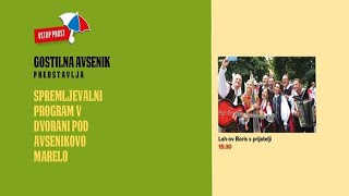 FESTIVAL AVSENIK 2024