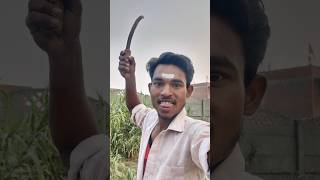 जब यूपी के लोग तमिल क्षेत्र में प्रवेश करते हैं🤣|When u p guys enters in tamil zone#viral #shorts