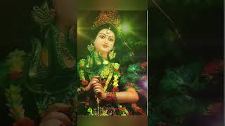 माता रानी भजन | वैष्णो देवी माँ दुर्गा Durga Kali Mata Rani Jai Mata Di #matarani #jaimatadi #shorts