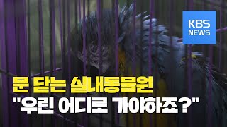 코로나로 문 닫는 체험형 실내동물원…동물들은 어디로? / KBS뉴스(News)